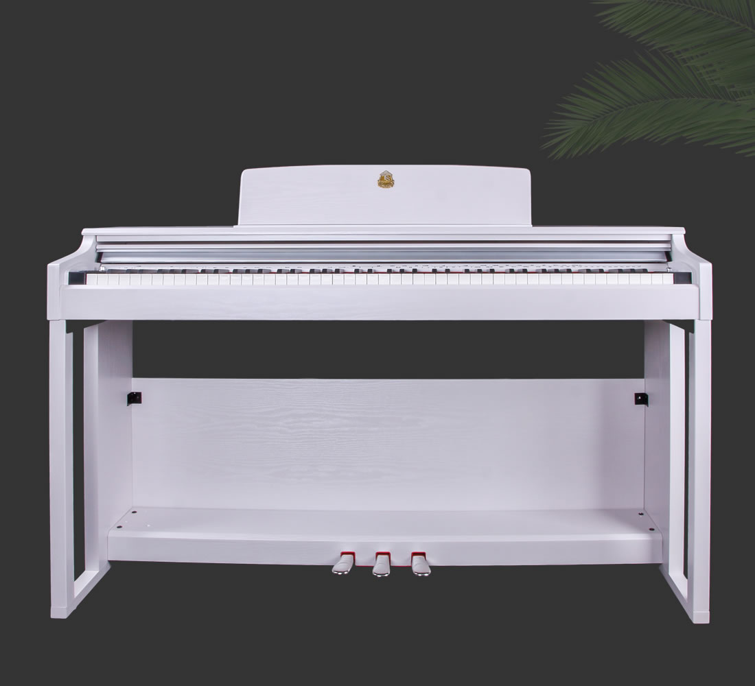 Taishan Electric Piano