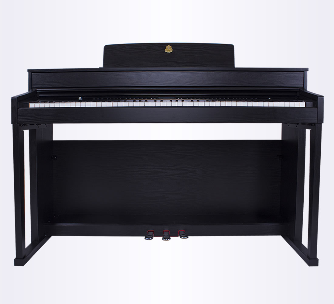 Taishan Electric Piano